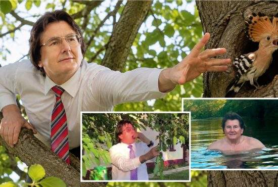 După ce a mâncat dude şi s-a scăldat, Nicolae Robu a încercat să fure o pupăză dintr-un tei