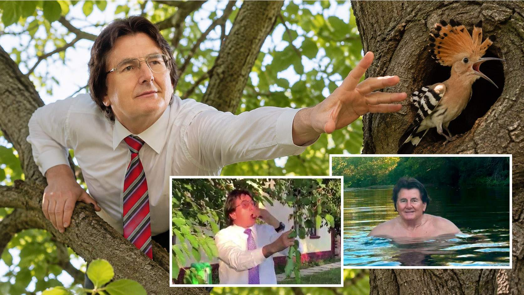 După ce a mâncat dude şi s-a scăldat, Nicolae Robu a încercat să fure o pupăză dintr-un tei