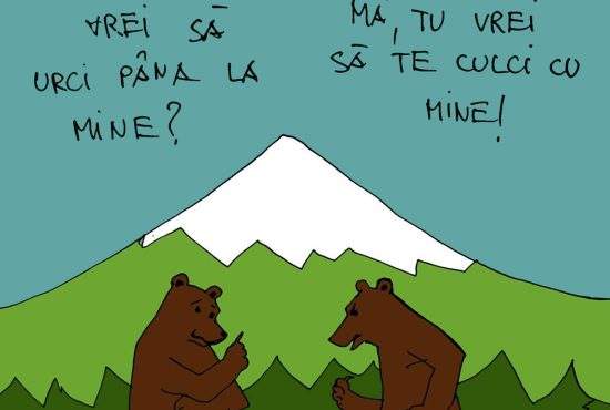 A nins la munte