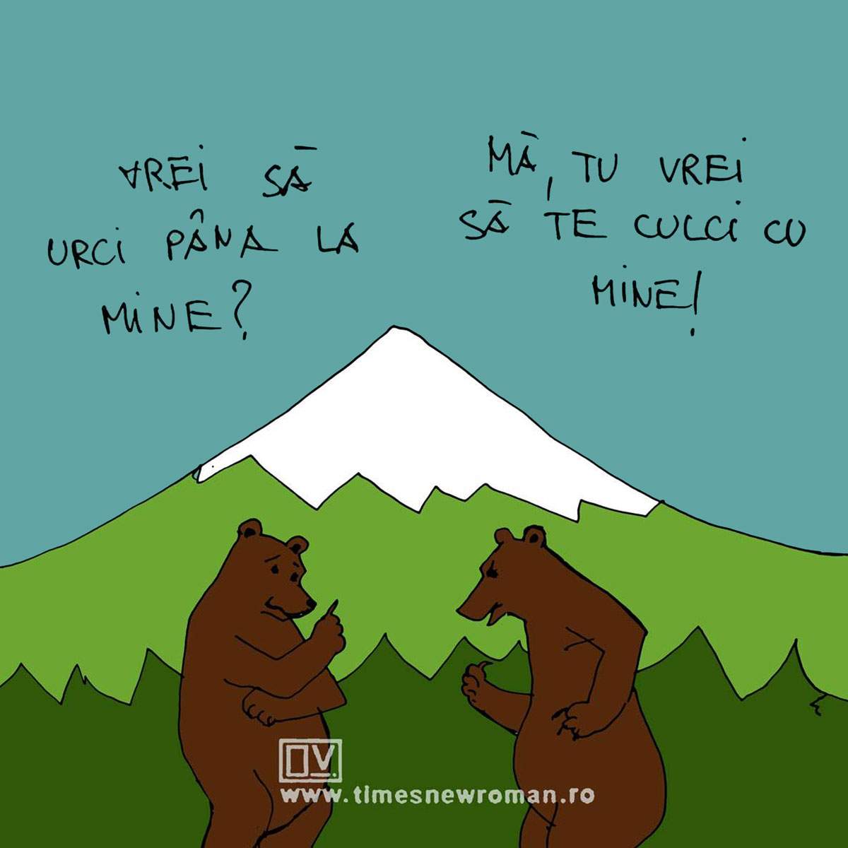 A nins la munte