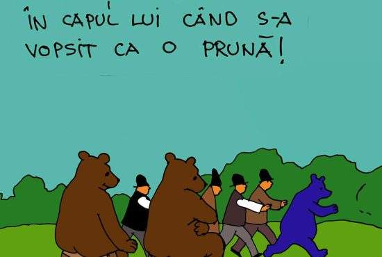 Ursul prun