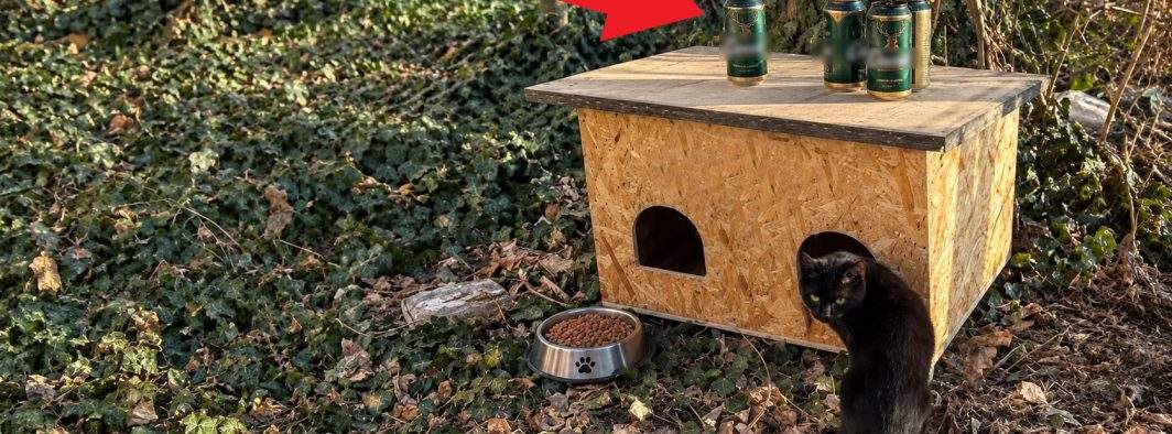 Inspirat de vecinii care hrănesc pisici, un român lasă bere în faţa blocului pentru beţivii fără stăpân