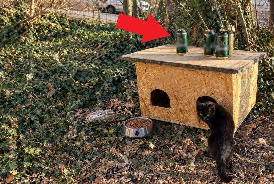 Inspirat de vecinii care hrănesc pisici, un român lasă bere în faţa blocului pentru beţivii fără stăpân