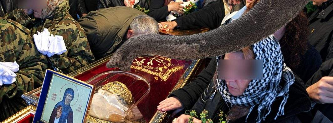Un nou scandal la coadă la moaşte. Elefant, acuzat că şi-a folosit trompa ca să pupe peste rând