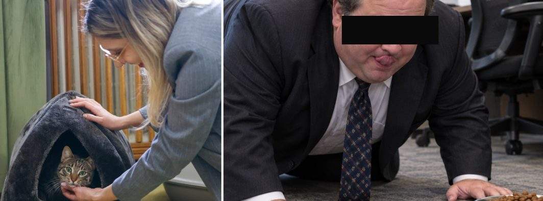 Pisica de la Ministerul Mediului, înlocuită cu un pesedist care ştie să miaune