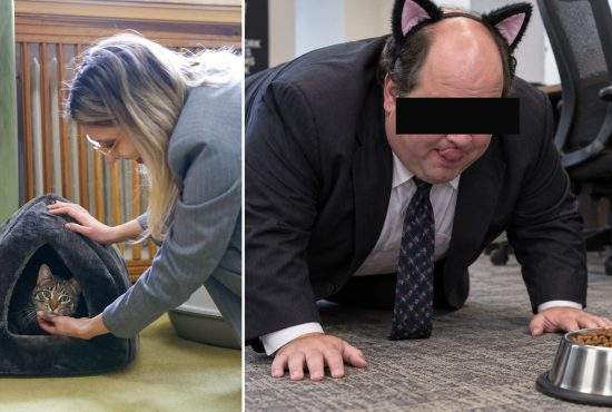 Pisica de la Ministerul Mediului, înlocuită cu un pesedist care ştie să miaune