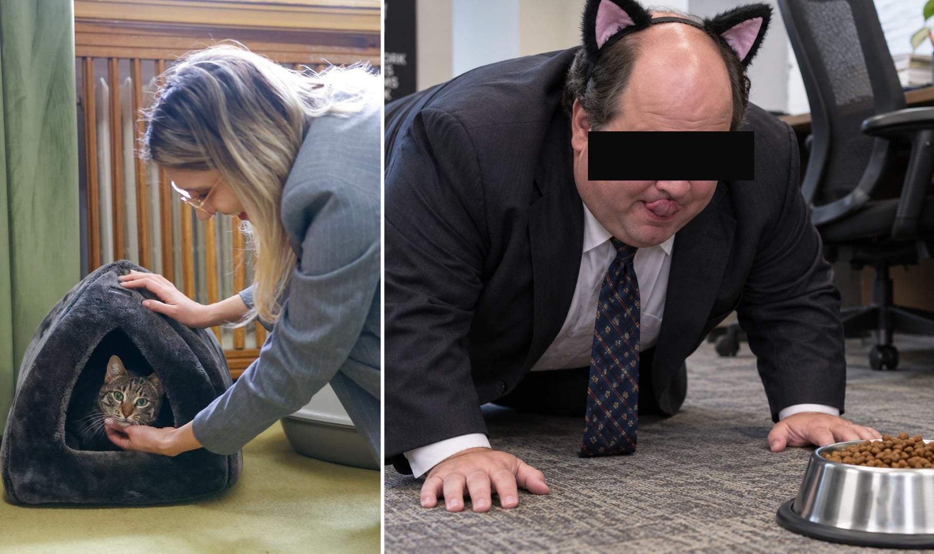 Pisica de la Ministerul Mediului, înlocuită cu un pesedist care ştie să miaune